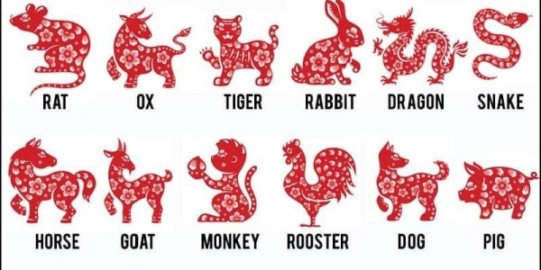 What is the Chinese zodiac? How do you find out your Chinese zodiac sign?